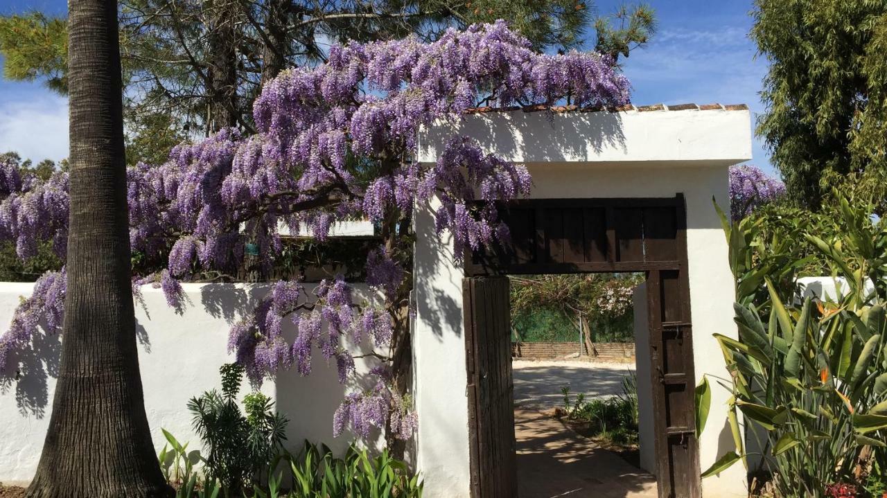 Roca Verde, Boutique Bed & Breakfast (Adults Only) Alhaurín de la Torre Екстериор снимка