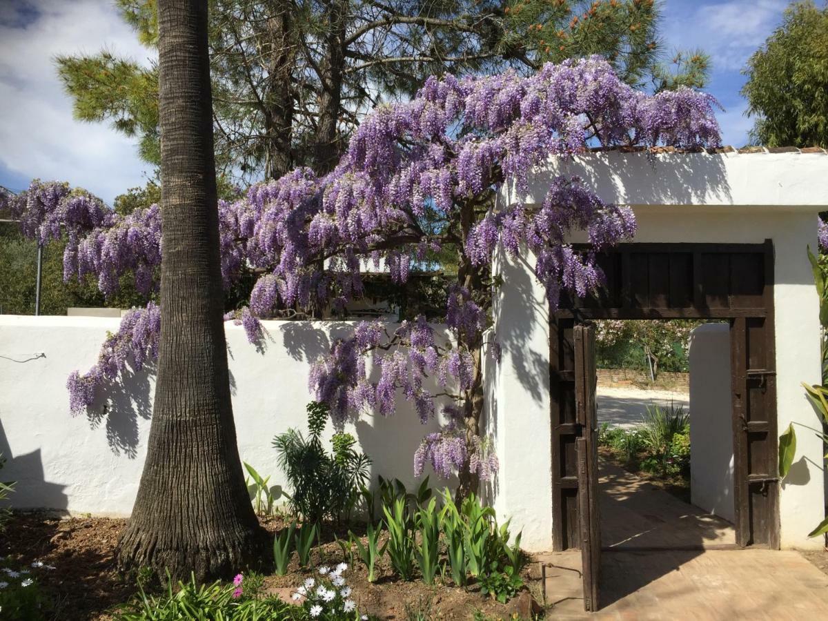 Roca Verde, Boutique Bed & Breakfast (Adults Only) Alhaurín de la Torre Екстериор снимка